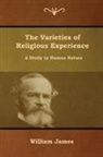 William James - The Varieties of Religious Experience