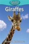 Victoria Blakemore - Giraffes