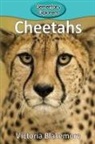 Victoria Blakemore - Cheetahs