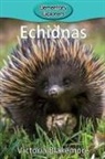 Victoria Blakemore - Echidnas