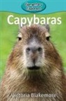 Victoria Blakemore - Capybaras