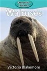 Victoria Blakemore - Walruses