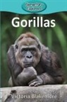 Victoria Blakemore - Gorillas