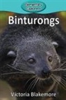 Victoria Blakemore - Binturongs