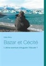Didier Moity - Bazar et Cécité