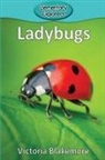 Victoria Blakemore - Ladybugs