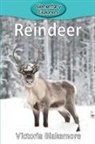 Victoria Blakemore - Reindeer