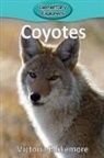 Victoria Blakemore - Coyotes