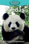 Victoria Blakemore - Pandas