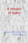 Richard Leach - A Handful of Sparks
