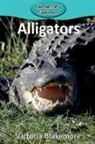 Victoria Blakemore - Alligators