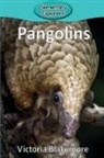 Victoria Blakemore - Pangolins