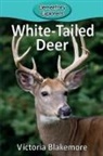 Victoria Blakemore - White-Tailed Deer