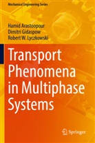 Hamid Arastoopour, Dimitri Gidaspow, R Lyczkowski, Robert W. Lyczkowski - Transport Phenomena in Multiphase Systems