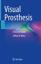 Jeffrey N Weiss, Jeffrey N. Weiss - Visual Prosthesis