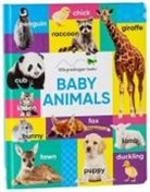Little Grasshopper Books, Publications International Ltd - Baby Animals (Large Padded Board Book)