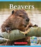 Moira Rose Donohue - Beavers (Nature's Children)