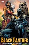 Jason Aaron, Aaron Jason, Alan Davis, Trevor Hairsine, Reginald Hudlin, Hudlin Reginald... - BLACK PANTHER BY REGINALD HUDLIN: THE COMPLETE COLLECTION VOL. 3