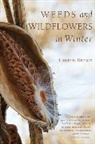 Lauren Brown - Weeds and Wildflowers in Winter