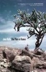 Juan Rulfo - Plain in Flames