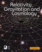 Robert Lambourne, Robert J. A. Lambourne, Robert J. A. (The Open University Lambourne - Relativity, Gravitation and Cosmology