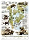 National Geographic Maps - National Geographic Dinosaurs of North America Wall Map (22.25 X 30.5 In)