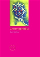 david Bachelor, David Batchelor, Batchelor David - Chromophobia