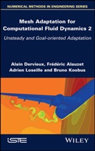 Frederic Alauzet, DERVIEUX, Alain Dervieux, Bruno Koobus, Adrien Loseille - Mesh Adaptation for Computational Fluid Dynamics, Volume 2