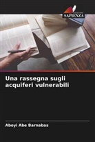 Aboyi Abe Barnabas - Una rassegna sugli acquiferi vulnerabili