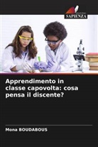 Mona Boudabous - Apprendimento in classe capovolta: cosa pensa il discente?