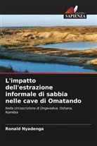 Ronald Nyadenga - L'impatto dell'estrazione informale di sabbia nelle cave di Omatando