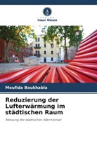 Moufida Boukhabla - Reduzierung der Lufterwärmung im städtischen Raum