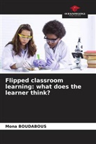 Mona Boudabous - Flipped classroom learning: what does the learner think?