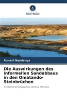 Ronald Nyadenga - Die Auswirkungen des informellen Sandabbaus in den Omatando-Steinbrüchen