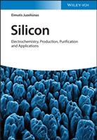 Eimutis Juzeliunas - Silicon