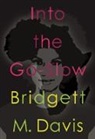 Bridgett M Davis, Bridgett M. Davis - Into the Go-Slow