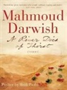 Mahmoud Darwish - A River Dies of Thirst