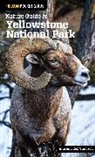 Ann Simpson, Rob Simpson - Nature Guide to Yellowstone National Park