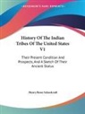 Henry Rowe Schoolcraft - History of the Indian Tribes of the United States V1: Their Present