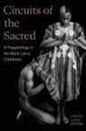 Carlos Ulises Decena - Circuits of the Sacred