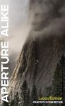 Lucas Roman - Aperture Alike