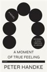 Peter Handke - Moment of True Feeling