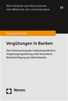 Hannes Schuster - Vergütungen in Banken