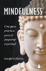 Joseph Goldstein, Francesc Prims Terradas - Mindfulness : una guía práctica para el despertar espiritual