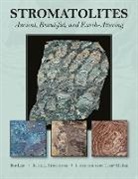 R J Leis, R. J. Leis, Bruce L Stinchcomb, Bruce L. Stinchcomb, Terry McKee - Stromatolites