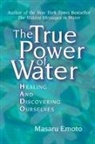 Masaru Emoto - The True Power of Water
