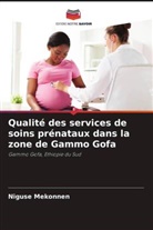 Niguse Mekonnen - Qualité des services de soins prénataux dans la zone de Gammo Gofa