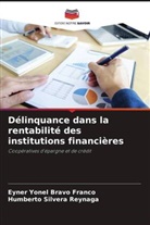 Eyner Yonel Bravo Franco, Humberto Silvera Reynaga - Délinquance dans la rentabilité des institutions financières