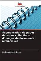 Gedion Assefa Desta - Segmentation de pages dans des collections d'images de documents amhariques