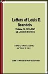 Louis D Brandeis, Louis D. Brandeis, David W Levy, David W. Levy, Melvin I Urofsky, Melvin I. Urofsky - Letters of Louis D. Brandeis: Volume IV, 1916-1921
